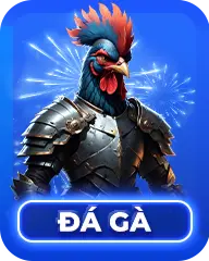 Đá gà